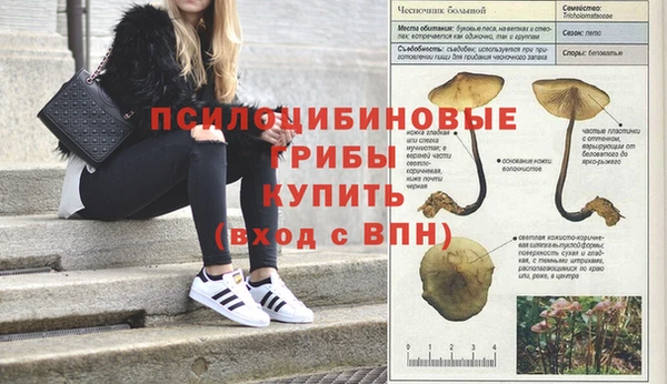 метамфетамин Михайлов