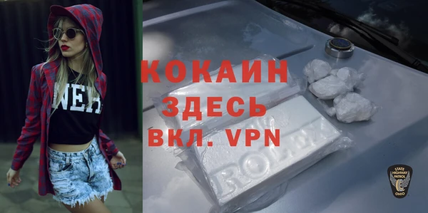 дживик Надым