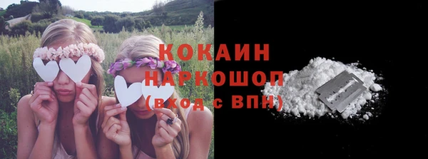дживик Надым