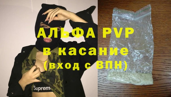 дживик Надым