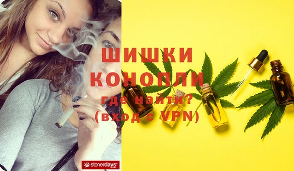 сатива Михайловка