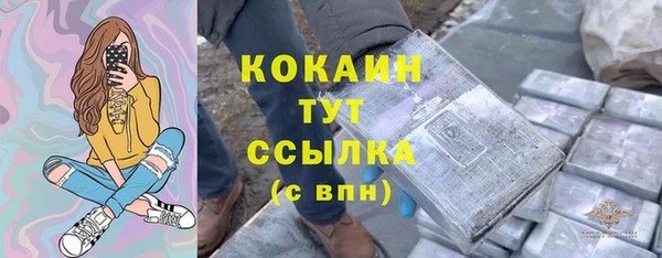 сатива Михайловка